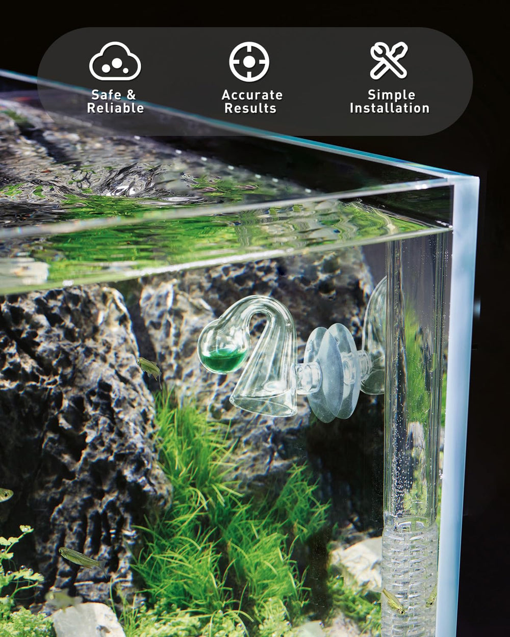 Pawfly planted-tank setup with CO2 monitor supporting plant growth