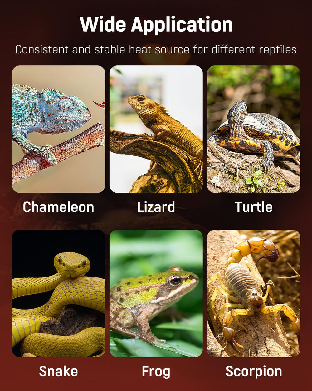 Pawfly portable heat pad on-the-go for reptiles during travel.