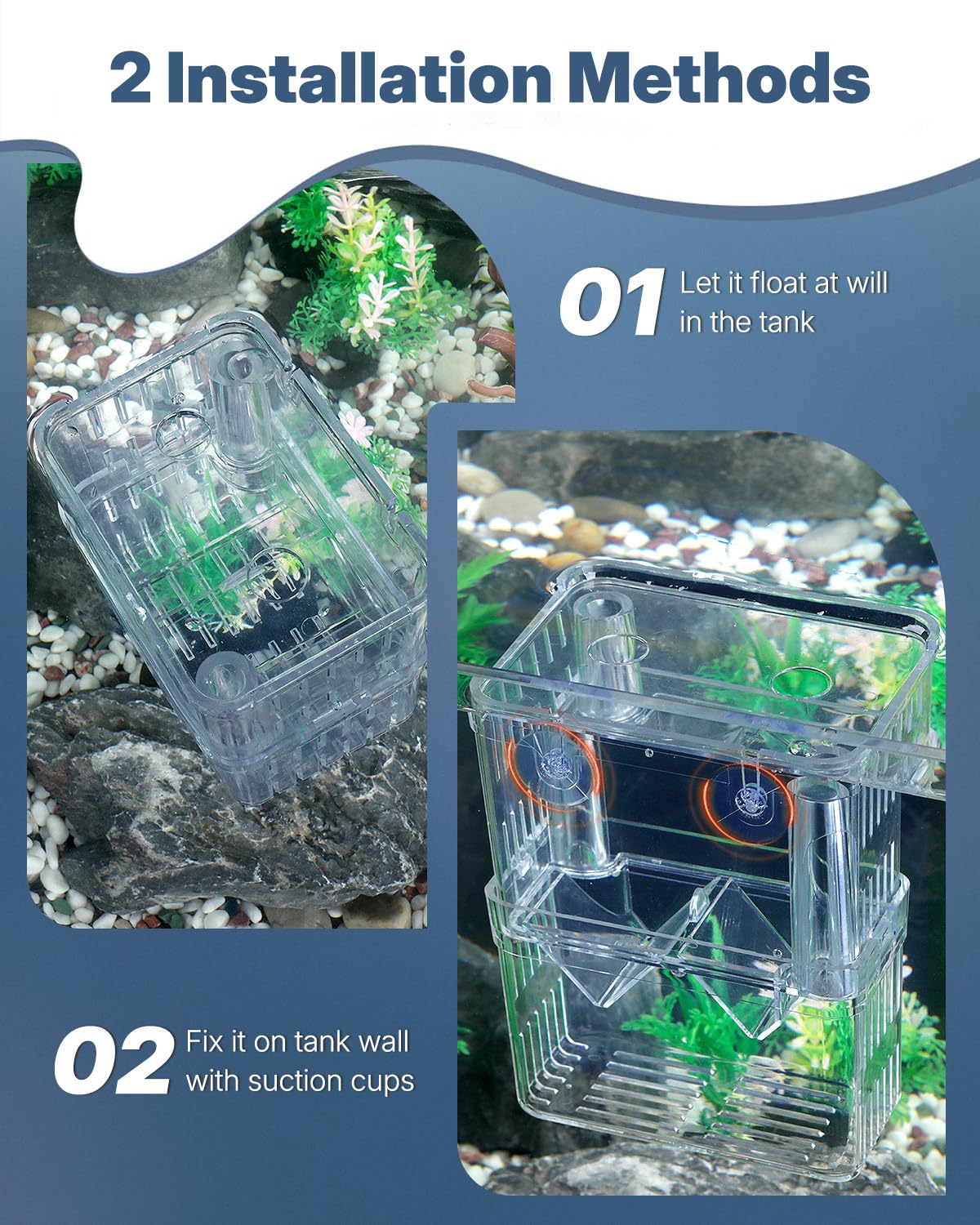 Pawfly self-floating breeder box with suction cups secured to the tank wall.