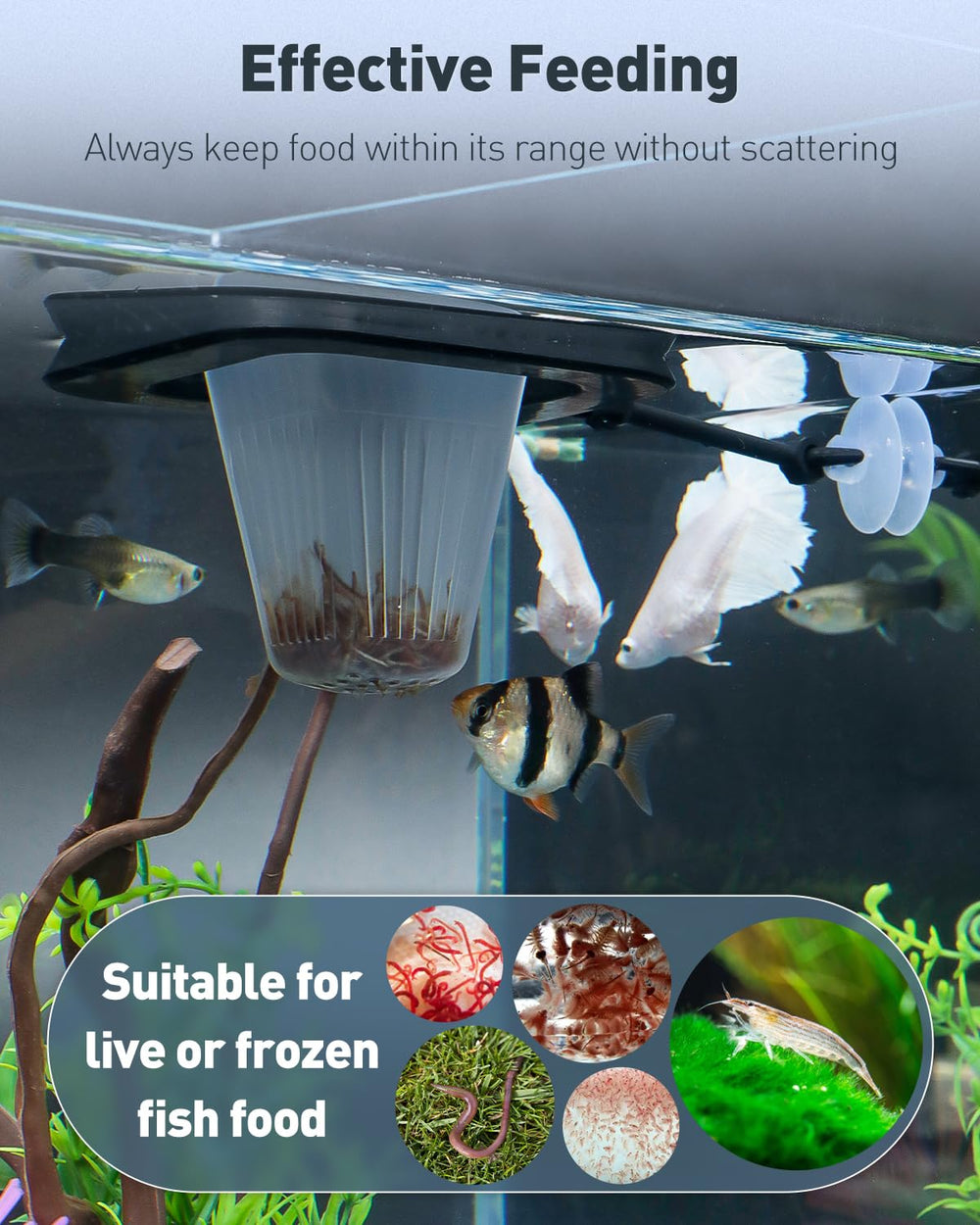Pawfly suction cup attachment keeps the feeder steady at any tank height