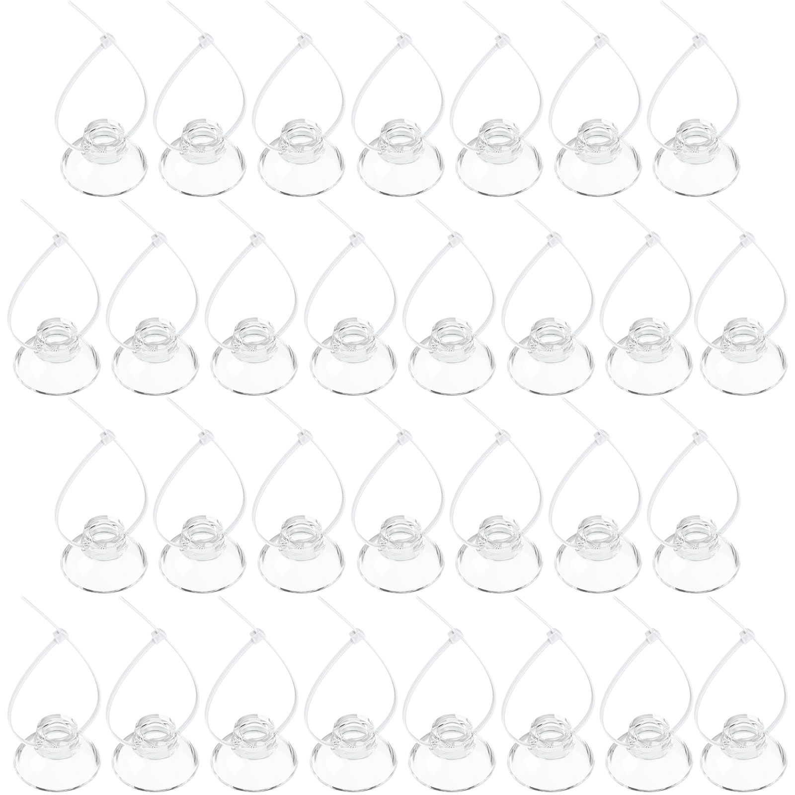 Pawfly suction cups 1 inch diameter securely mount aquarium decorations.