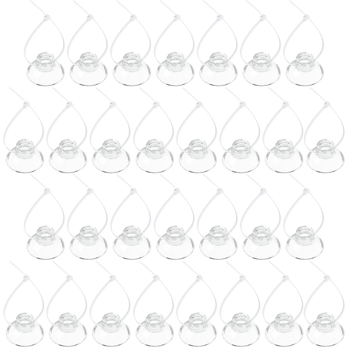 Pawfly suction cups 1 inch diameter securely mount aquarium decorations.