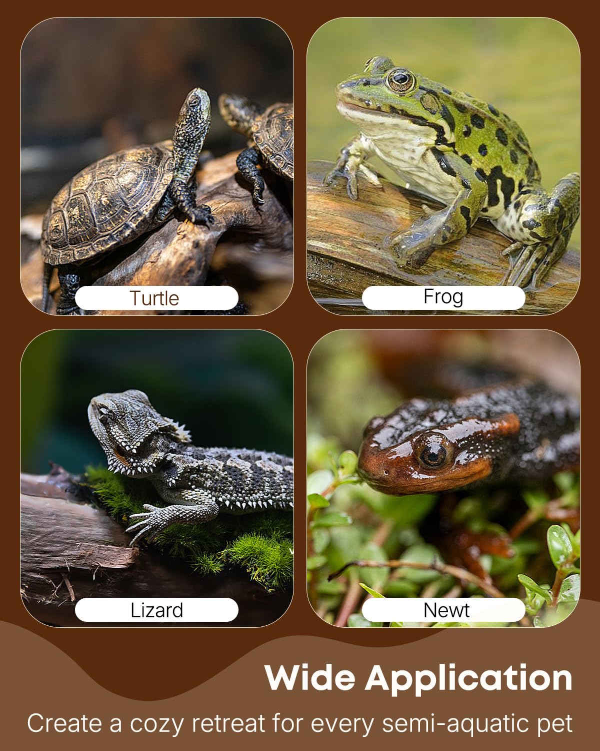 Pawfly Turtle Basking Platform cleaning-maintenance encourages regular upkeep and habitat hygiene.