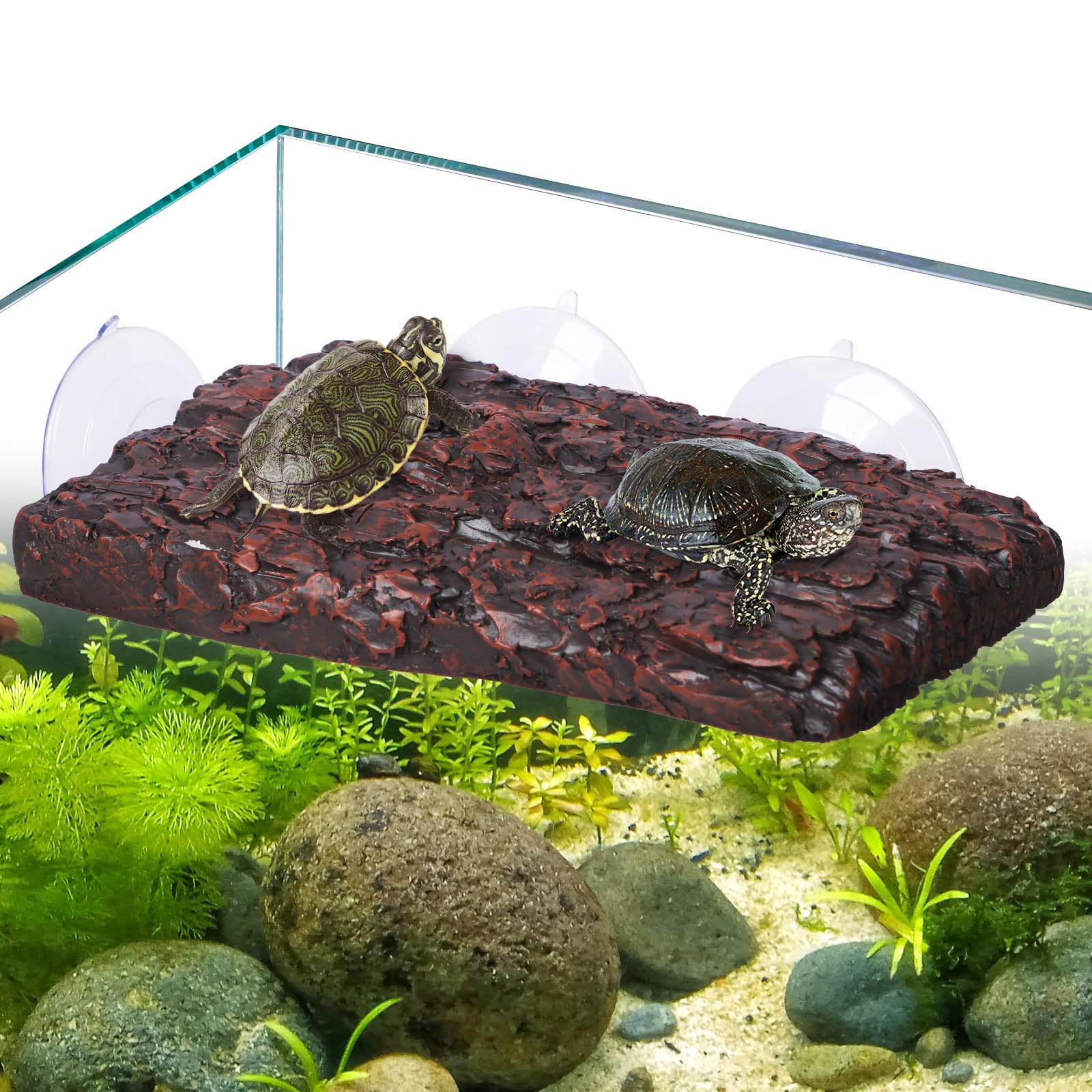 Pawfly Turtle Basking Platform suction cups securely grip tank walls for stable basking.