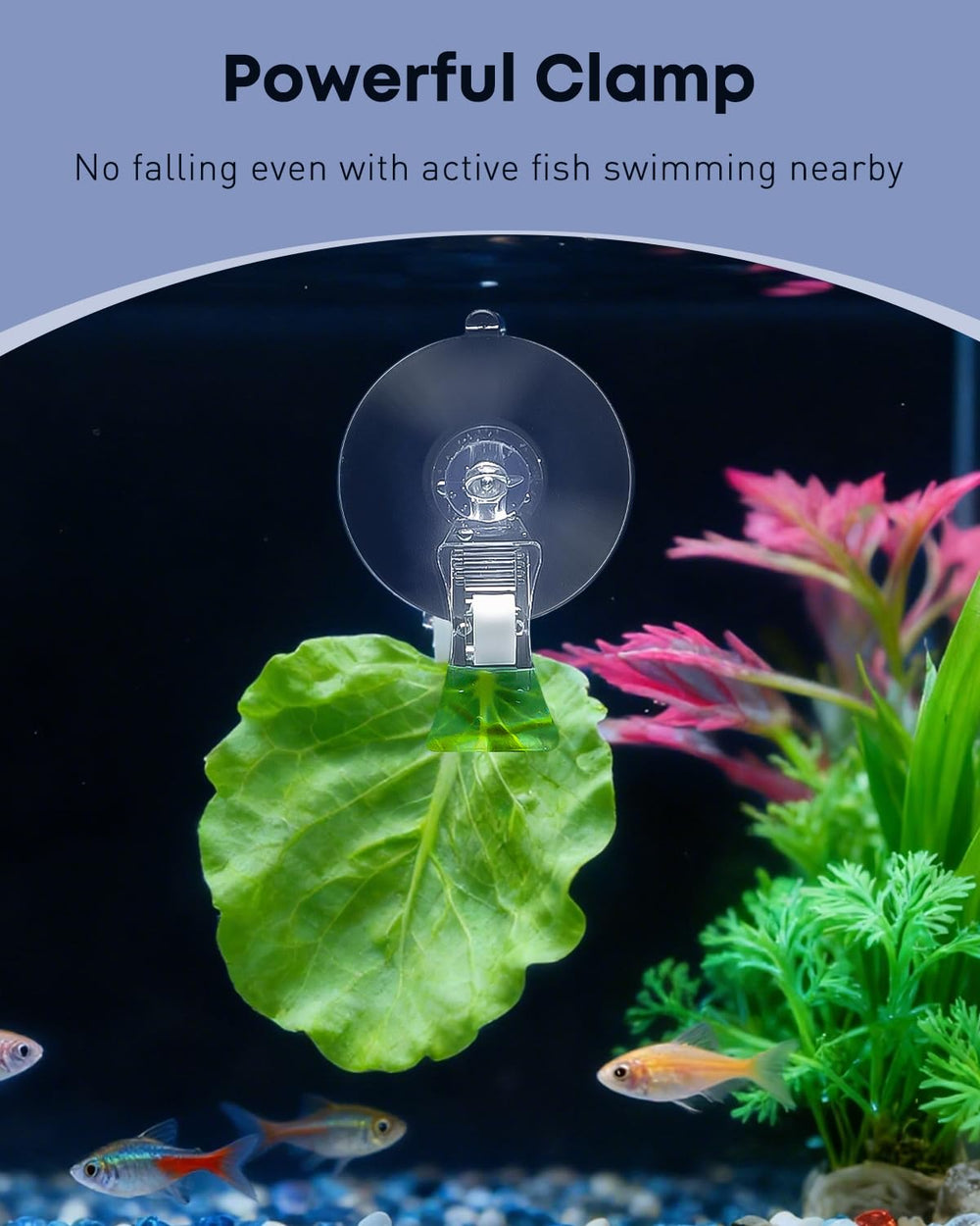 Pawfly underwater fish feeder enables tidy multi-zone feeding in home aquariums