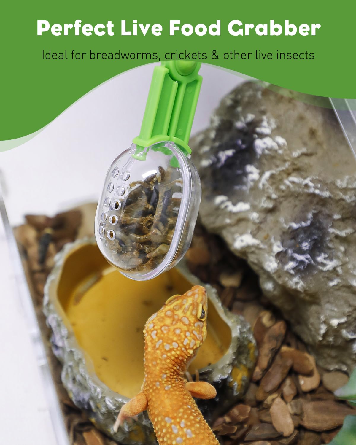 Pawfly vent-hole shell keeps live prey fresh during presentation