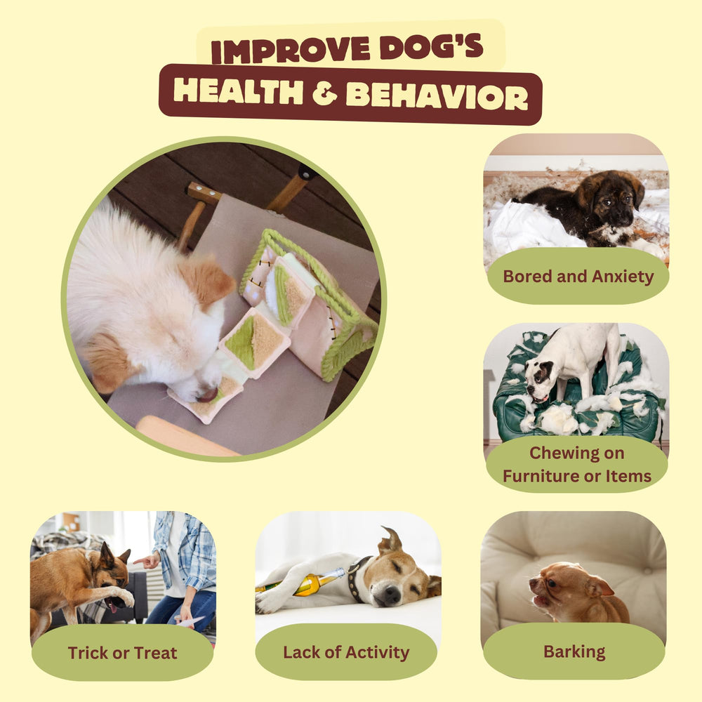 Pawfoo Lab foraging playtime supports slow feeding and mindful interaction.