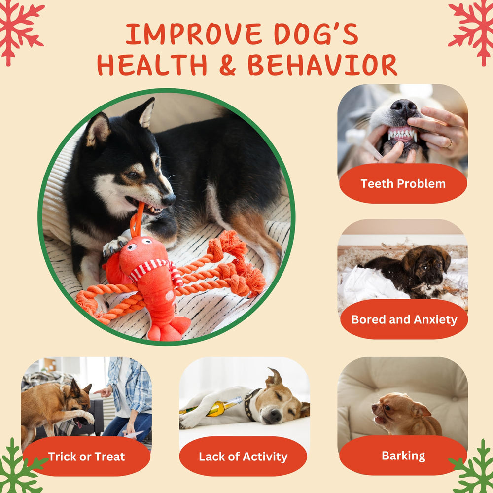 Pawfoo Lab lobster toy rope legs support tug-of-war and interactive games