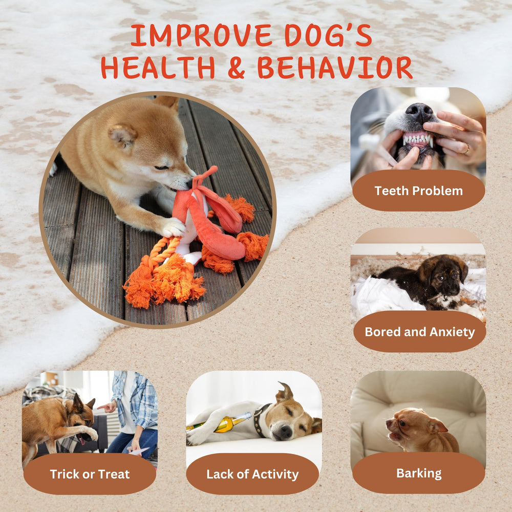 Pawfoo Lab lobster toy is designed for large, medium, and small dogs for shared fun.
