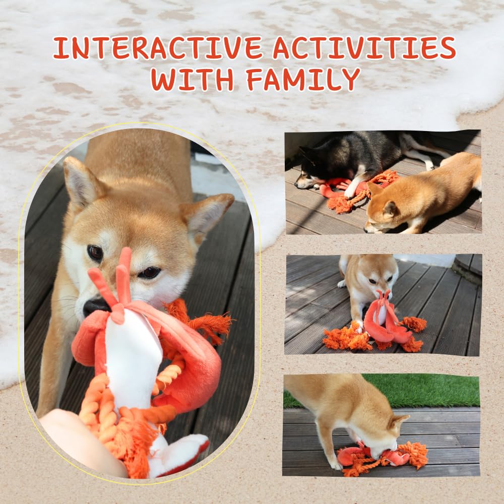 Pawfoo Lab lobster toy is ideal for multi-pet households and playtime.