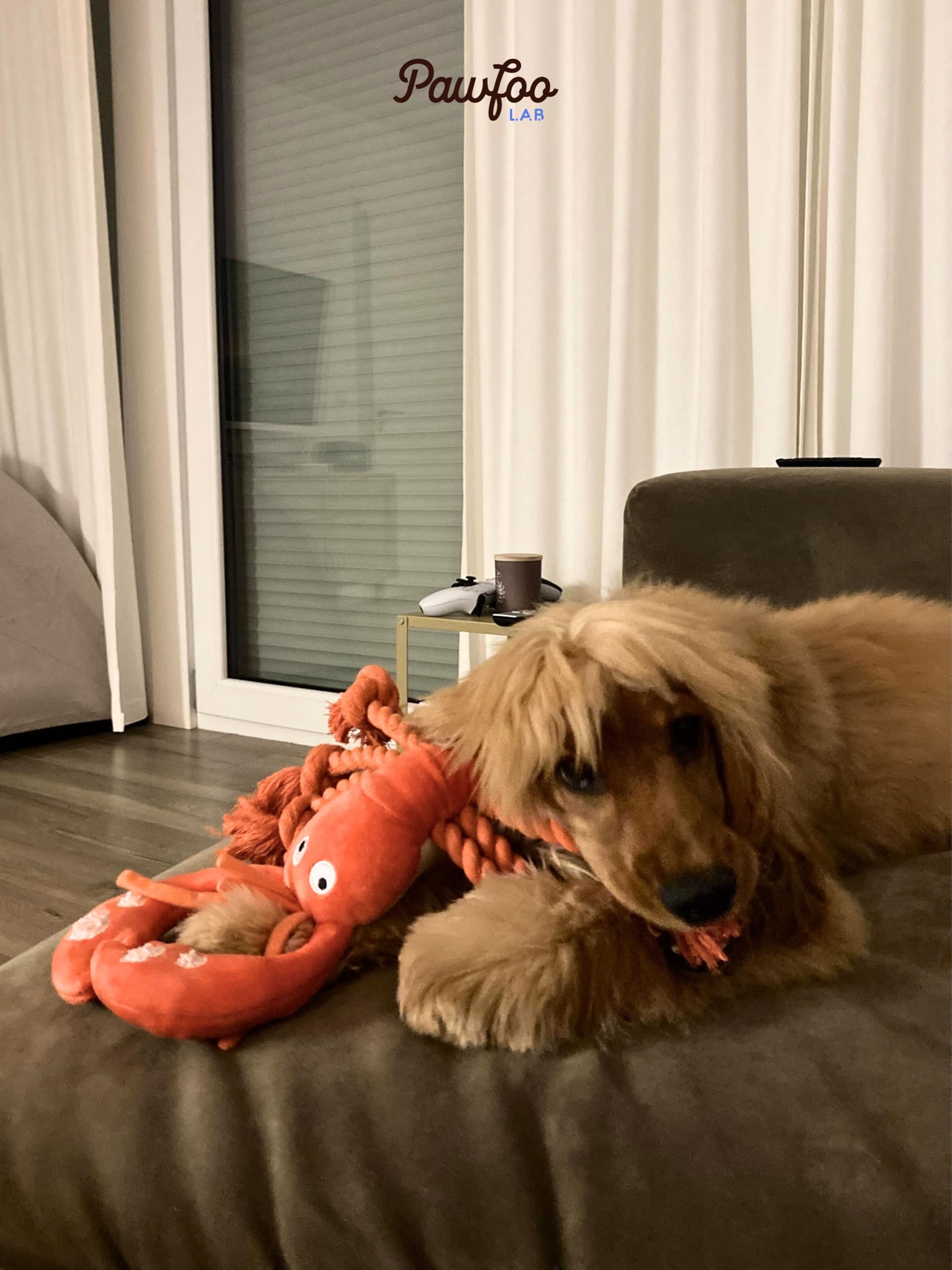 Pawfoo Lab lobster toy recommends supervised play and easy care tips.