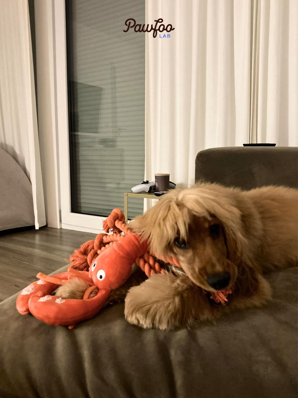 Pawfoo Lab lobster toy recommends supervised play and easy care tips.