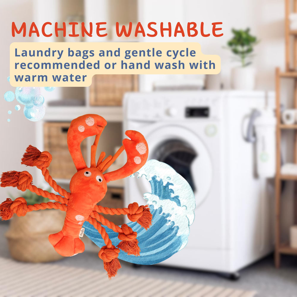 Pawfoo Lab lobster toy helps clean teeth during active chewing sessions.