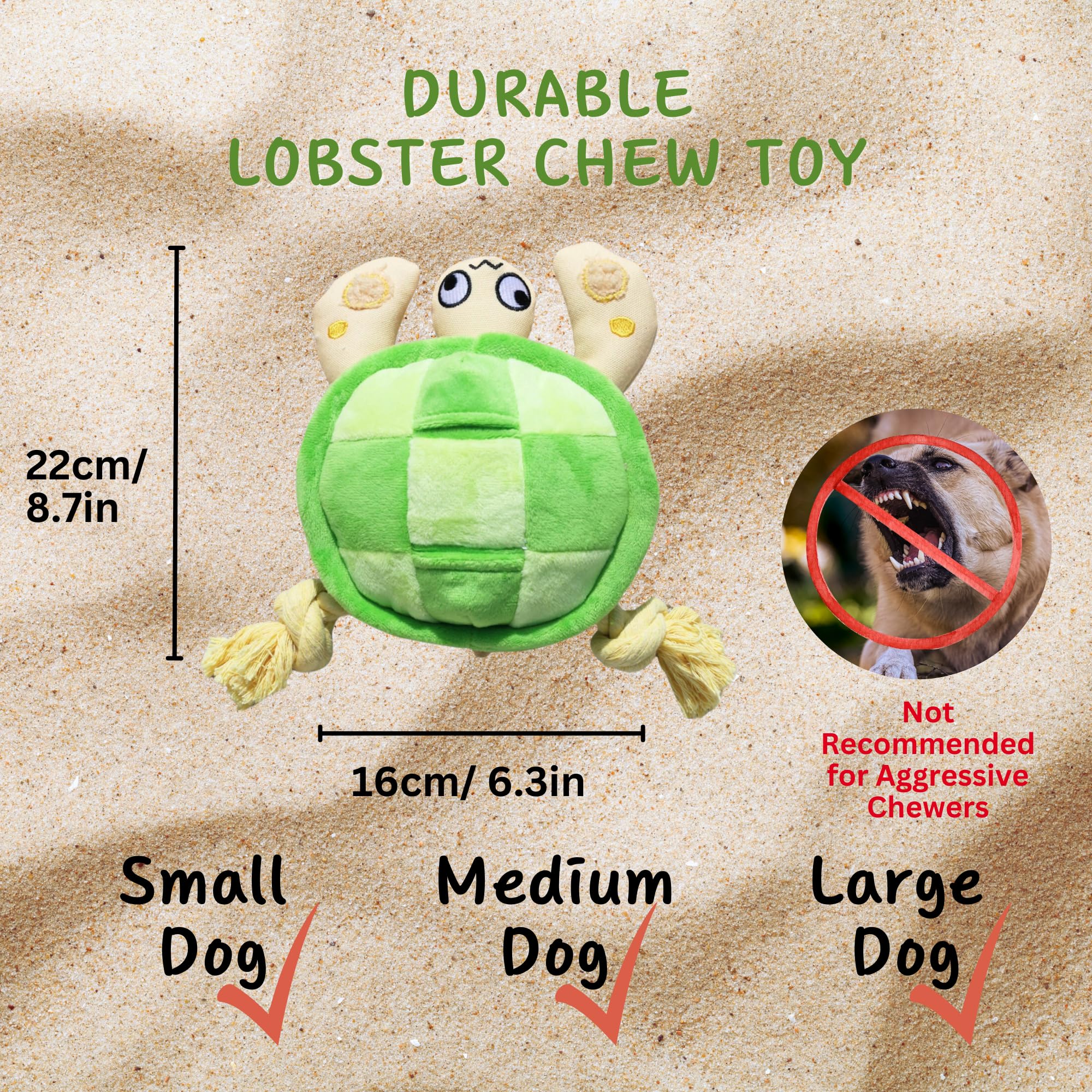 Pawfoo Lab turtle toy gift worthy design for dogs