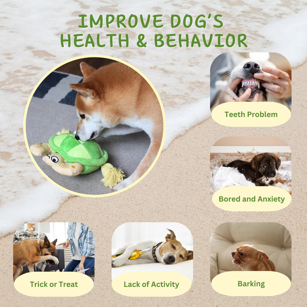 Pawfoo Lab turtle toy textured surface aids gentle teeth cleaning