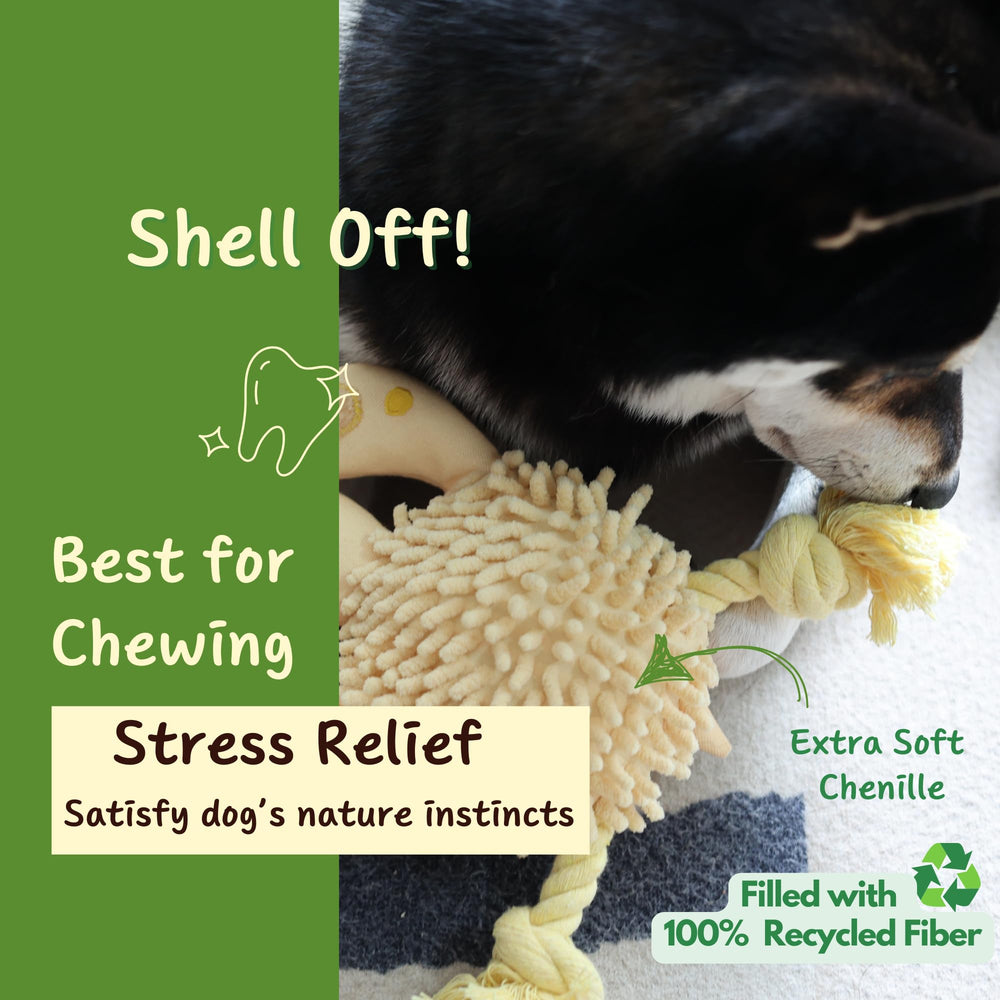 Pawfoo Lab turtle toy treat pockets dispense snacks