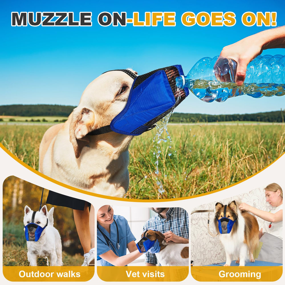 Pawfun blue XS size fits small breeds for safe park outings.