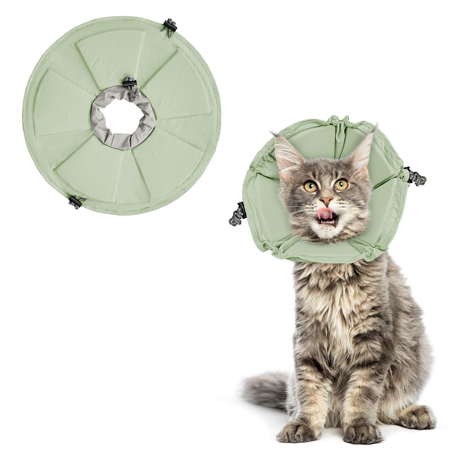 Pawfun cat cone soft adjustable green collar demonstrates comfortable, secure fit during recovery.