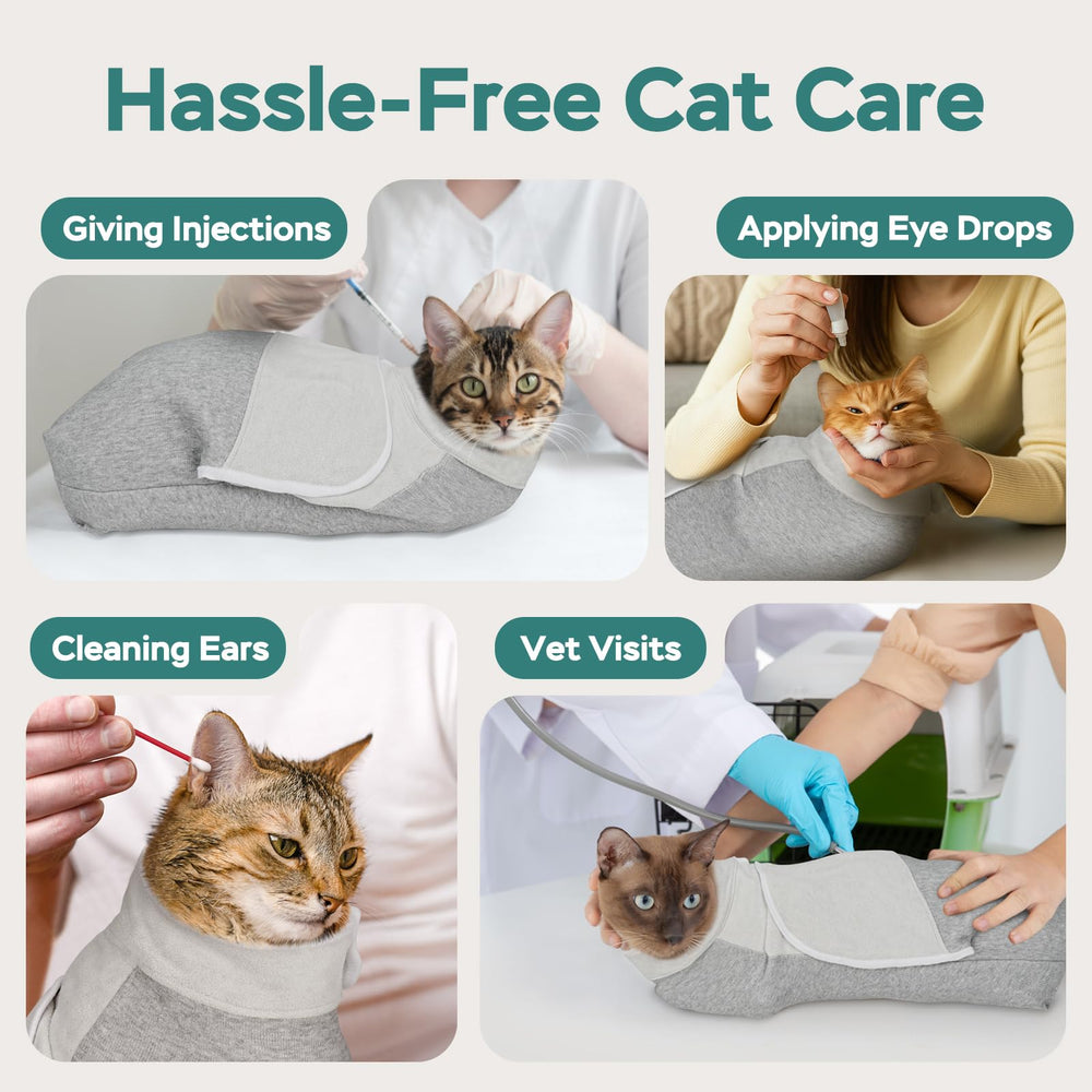 Pawfun cat wrap brushing teeth demonstrates cooperative dental care at home.