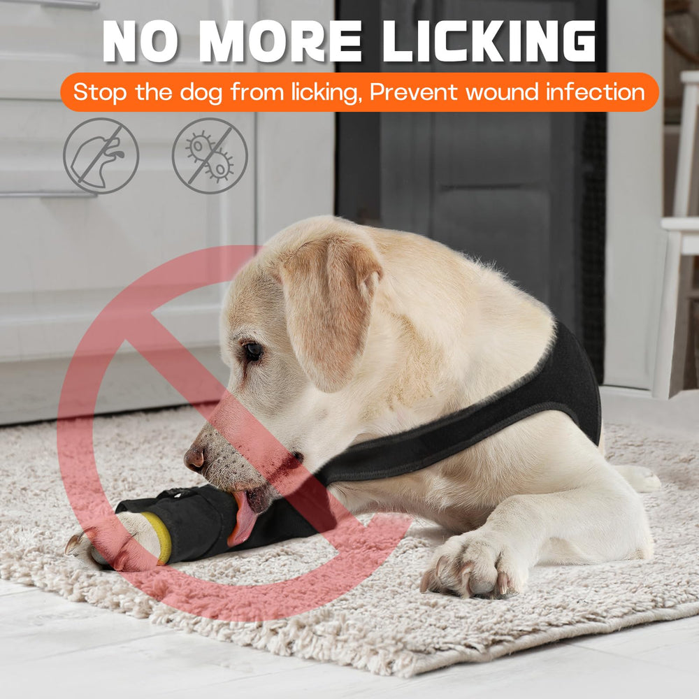 Pawfun chew-resistant fabric guards sensitive skin while remaining breathable.