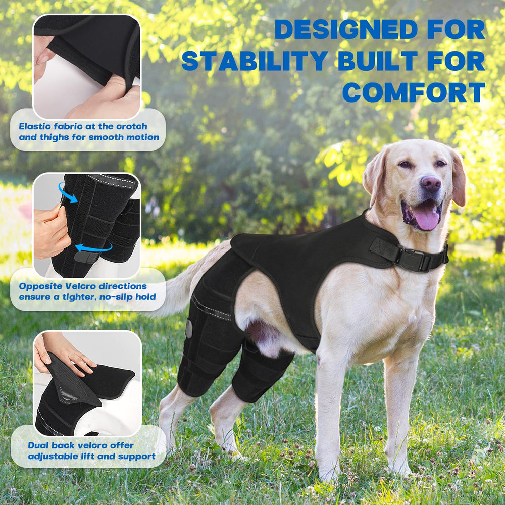 Pawfun dog knee brace dog-running-friendly design supports active daily play.