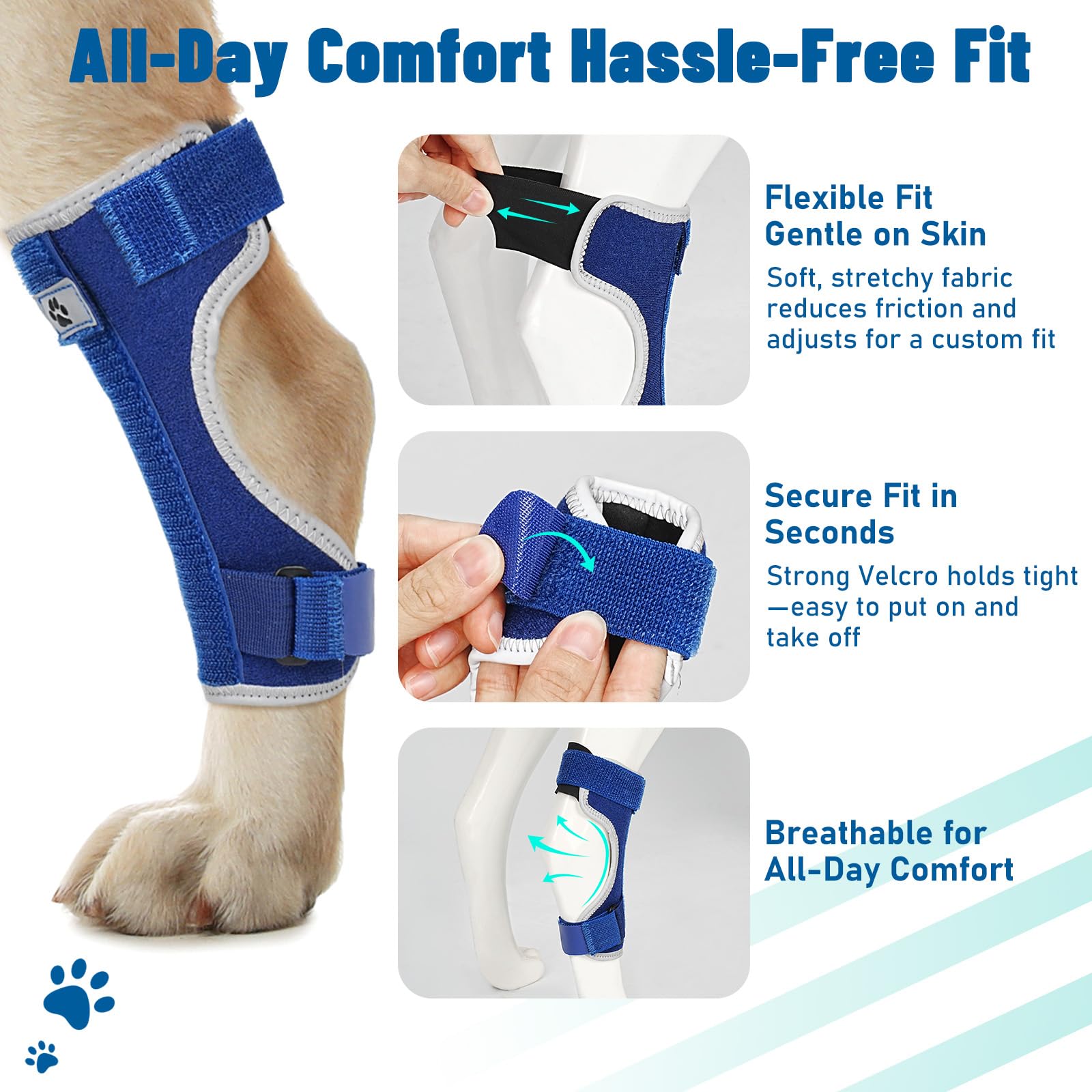 Pawfun leg brace features anti-slip cuffs for secure placement.