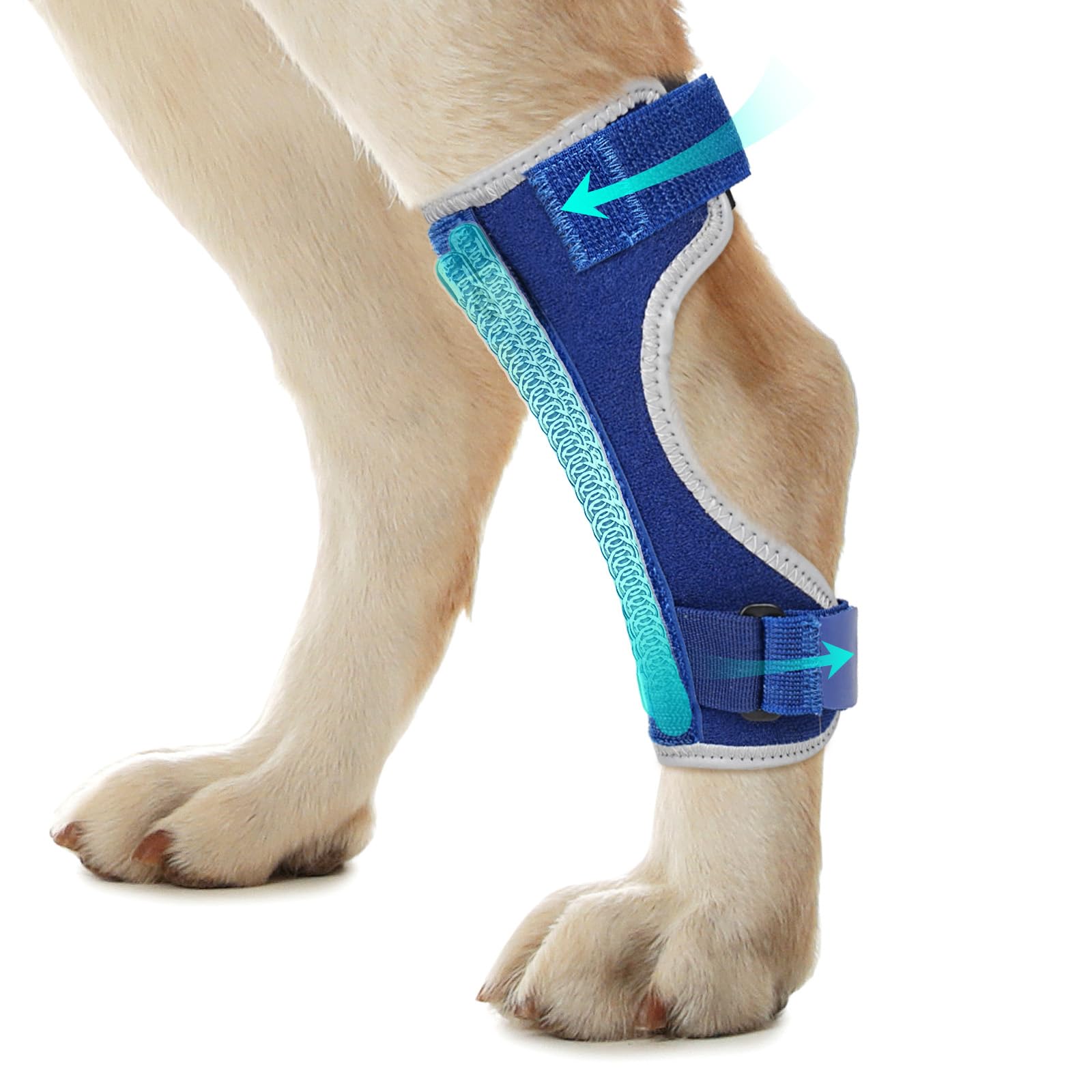 Pawfun dog leg brace back leg with reflective edging for nighttime safety.