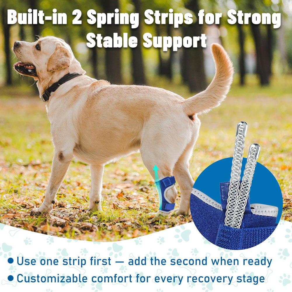 Pawfun dog leg brace in breathable neoprene for comfortable all-day wear.