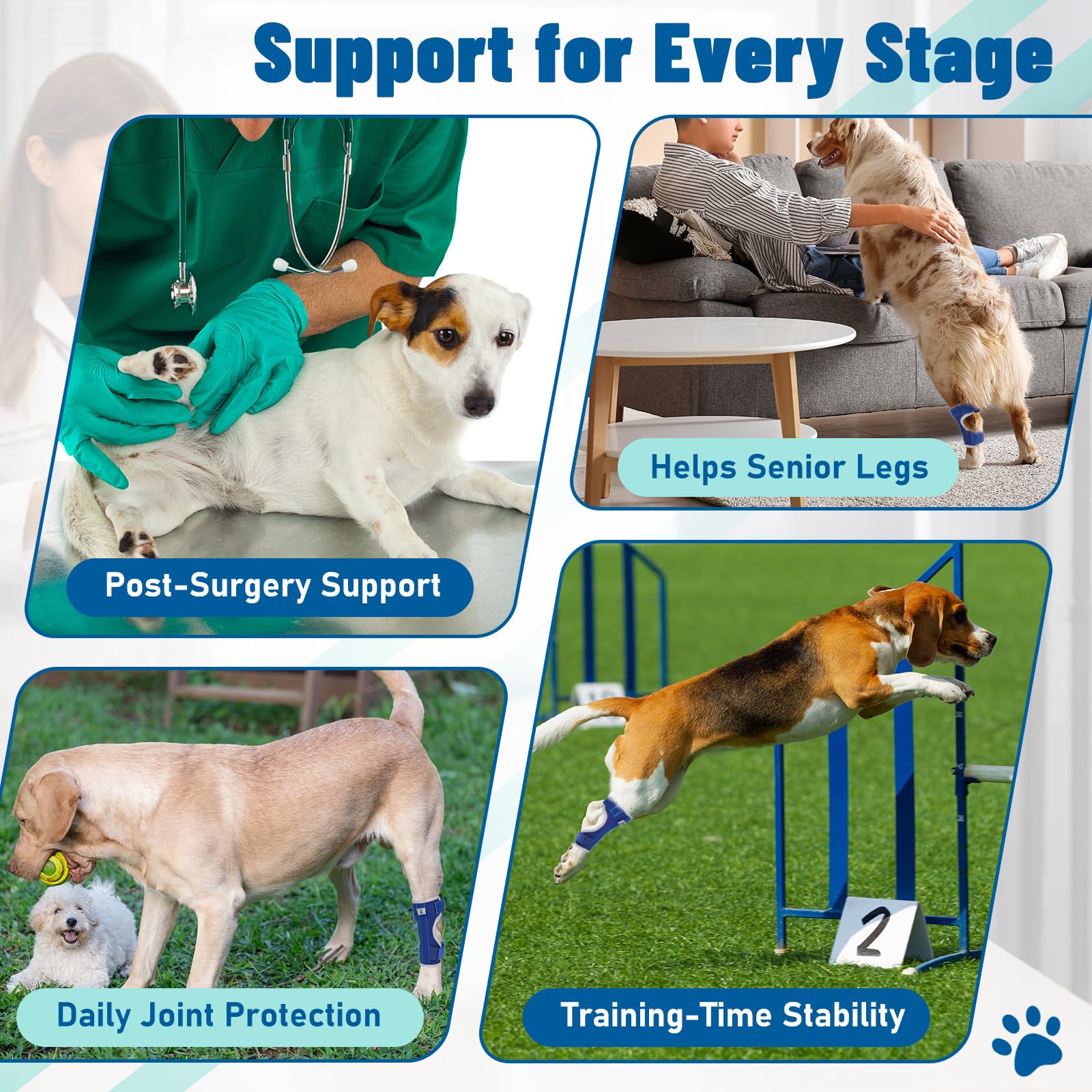 Pawfun rear leg brace quick-on design fits either back leg.