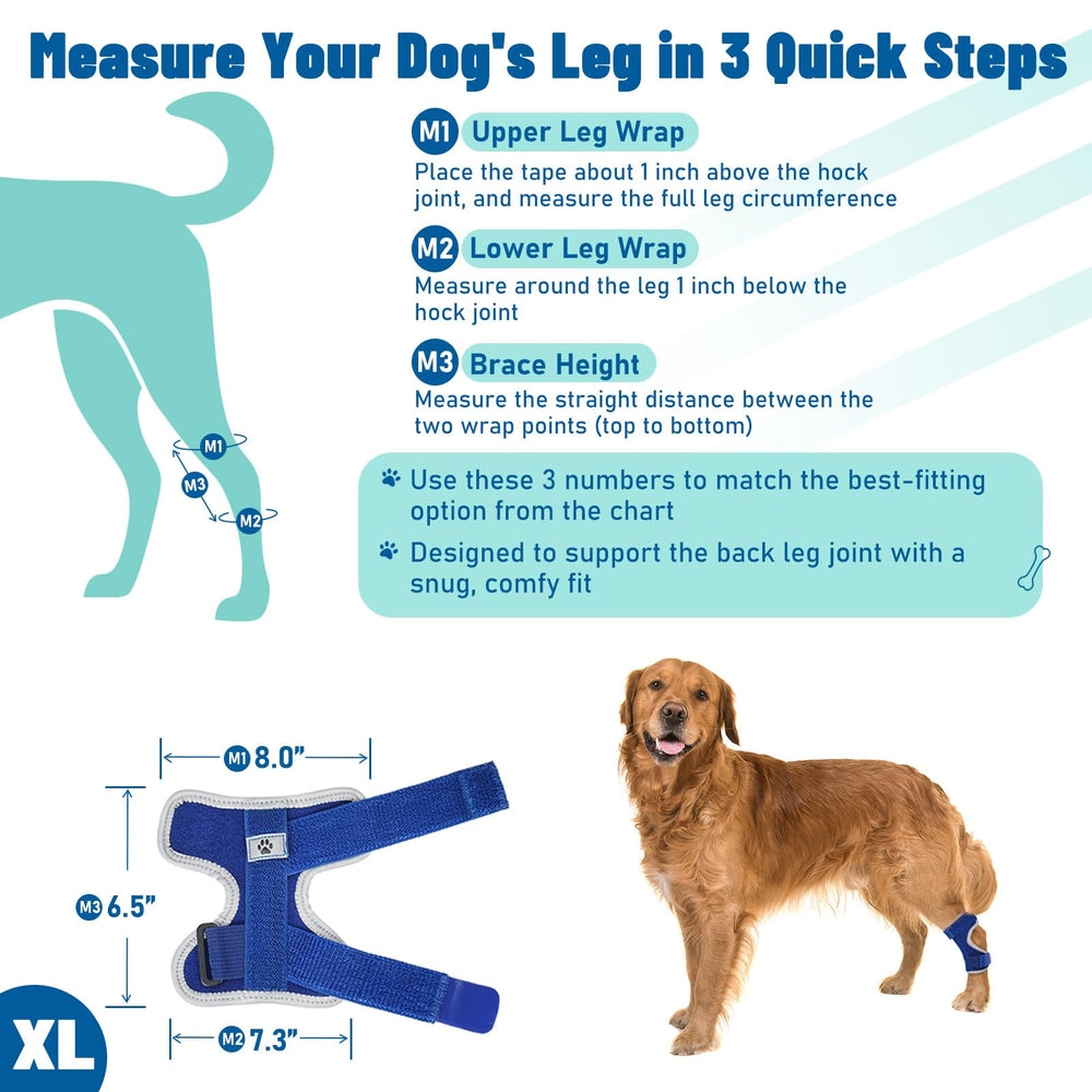 Pawfun dog leg brace with reflective trim and durable stitching.