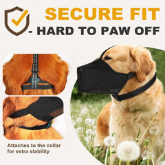 Pawfun adjustable straps on large muzzle provide secure fit during walks.