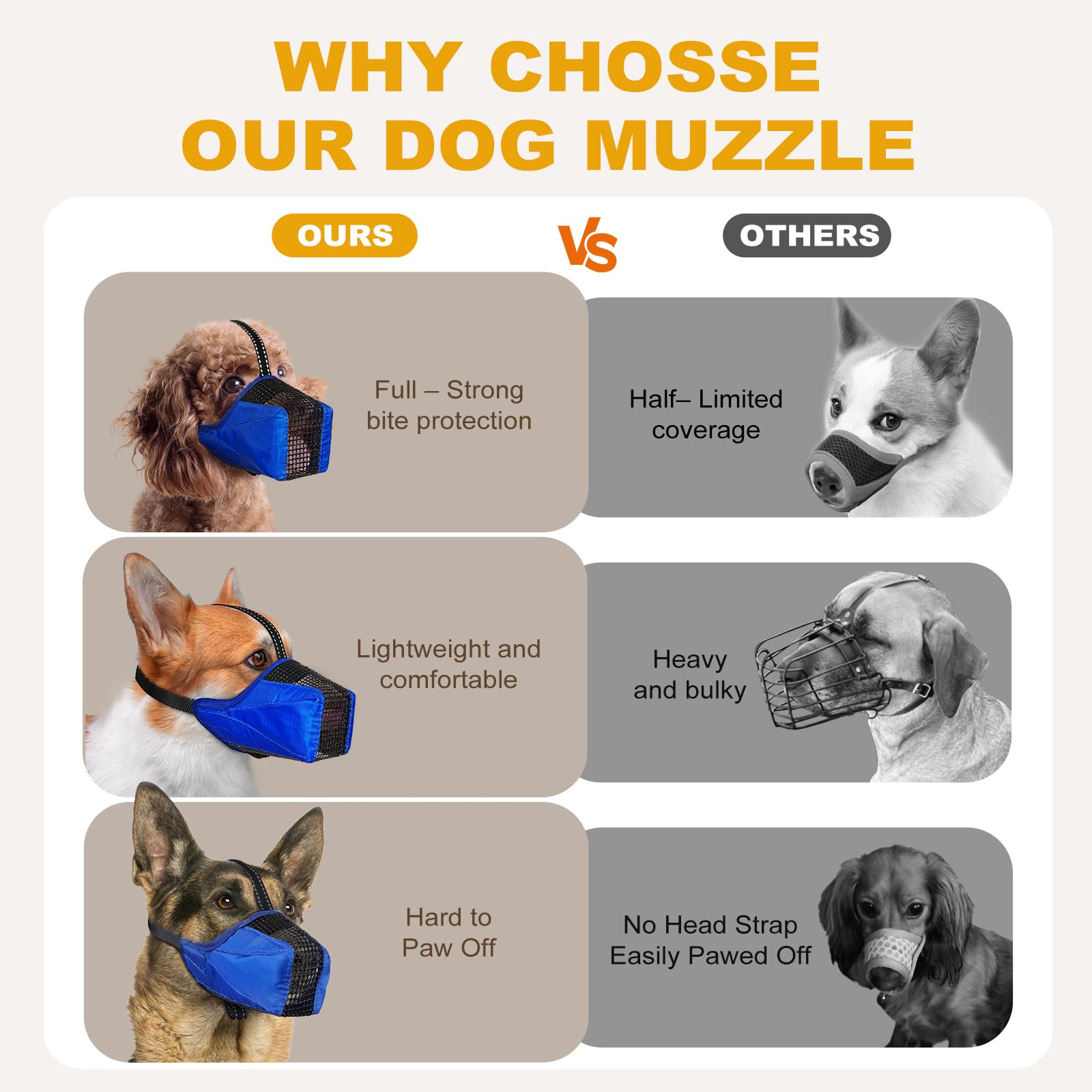 Pawfun reflective straps increase visibility for evening walks and safe close encounters.