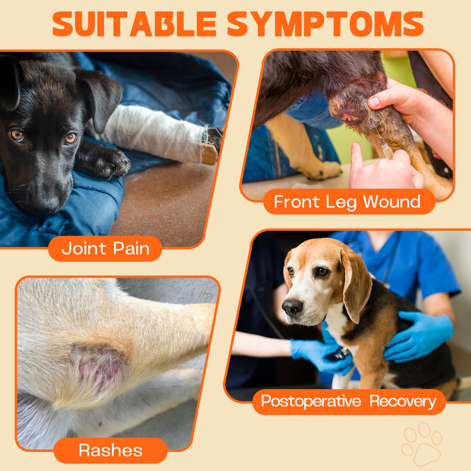 Pawfun dog recovery sleeve left XS in outdoor use protecting wounds during walks.