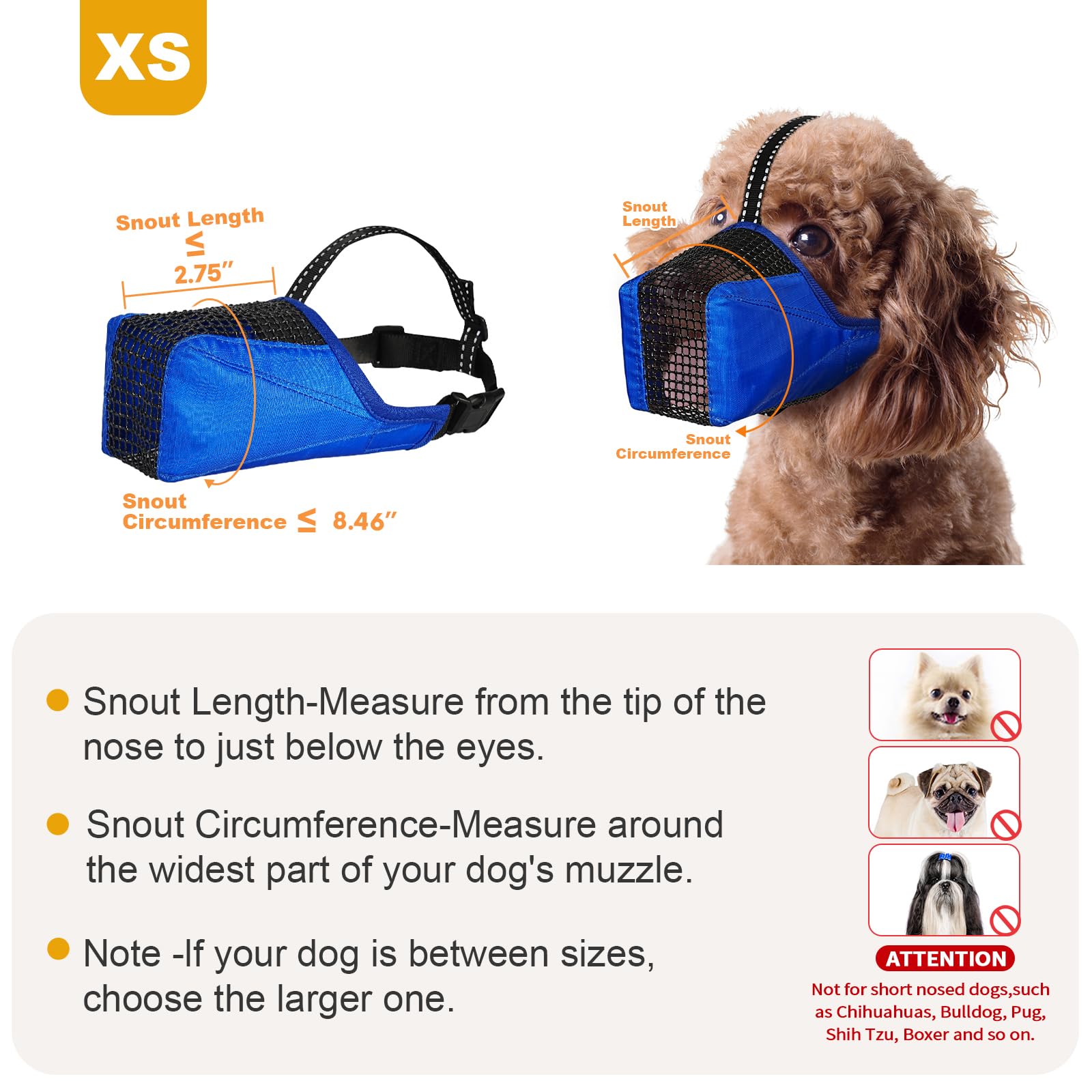 Pawfun close-up edge padding reduces rubbing for longer quiet sessions.