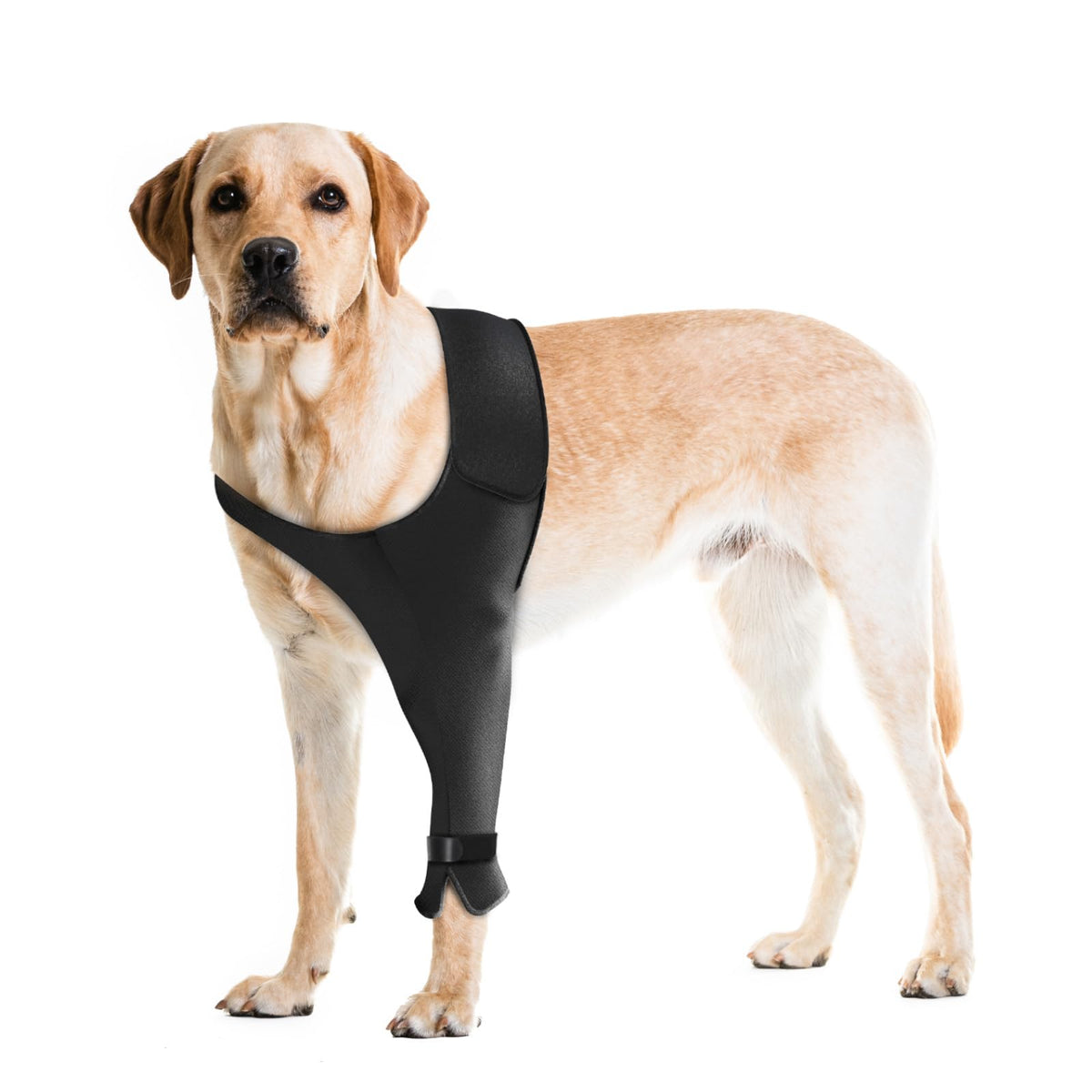 Pawfun dog recovery sleeve left XS closeup showing breathable fabric for comfortable healing.