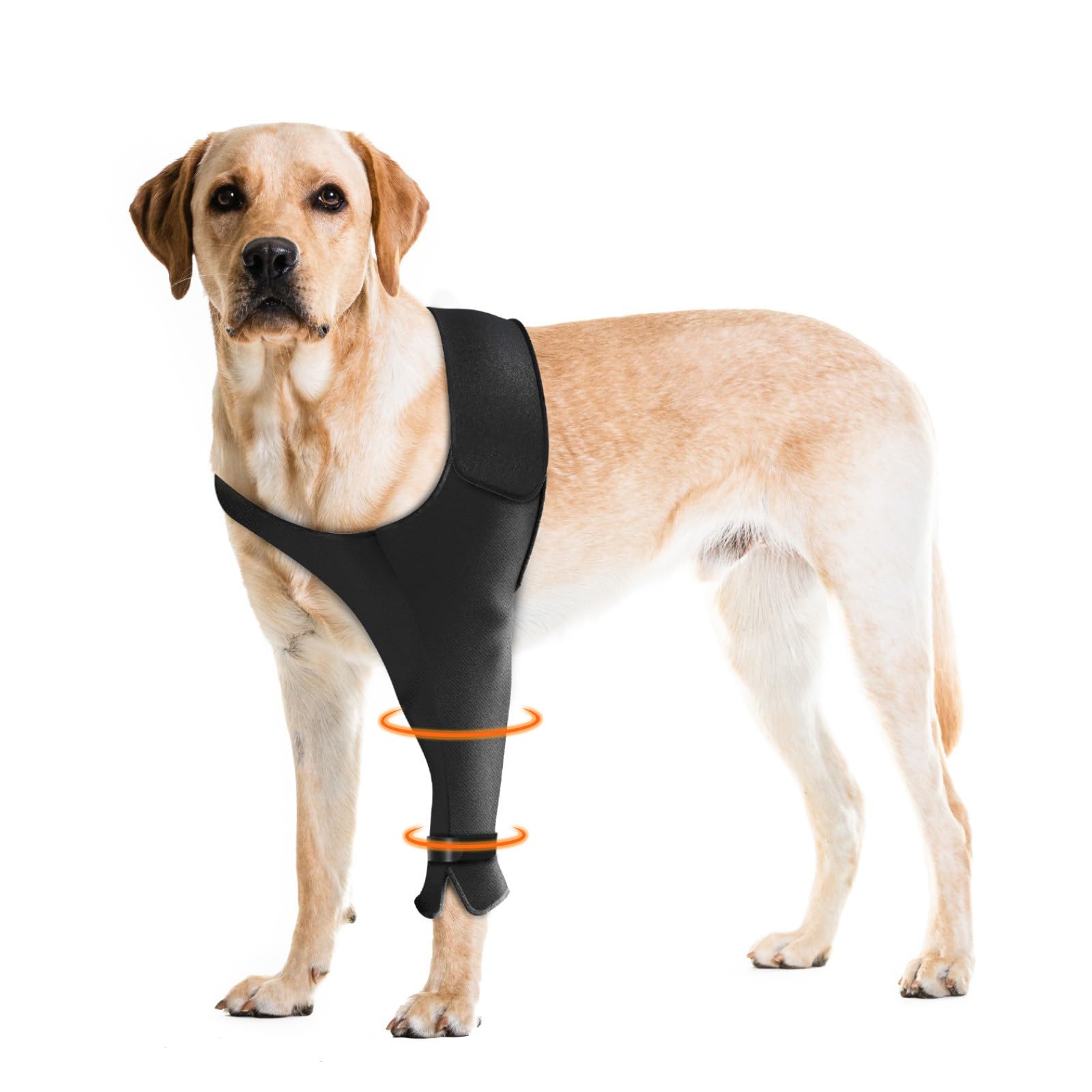Pawfun left front leg sleeve in soft cotton-spandex for comfortable healing