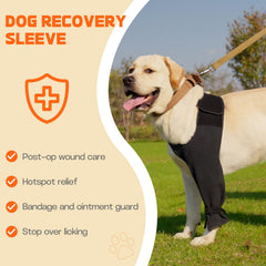 Pawfun left-front leg sleeve XS rolled edge demonstrates customizable length for perfect coverage.