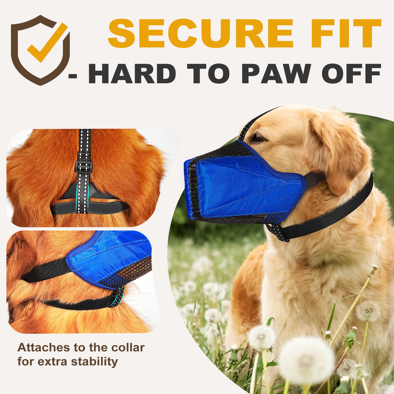 Pawfun adjustable straps show secure fit during active play and training.
