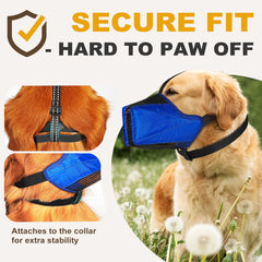 Pawfun adjustable straps show secure fit during active play and training.