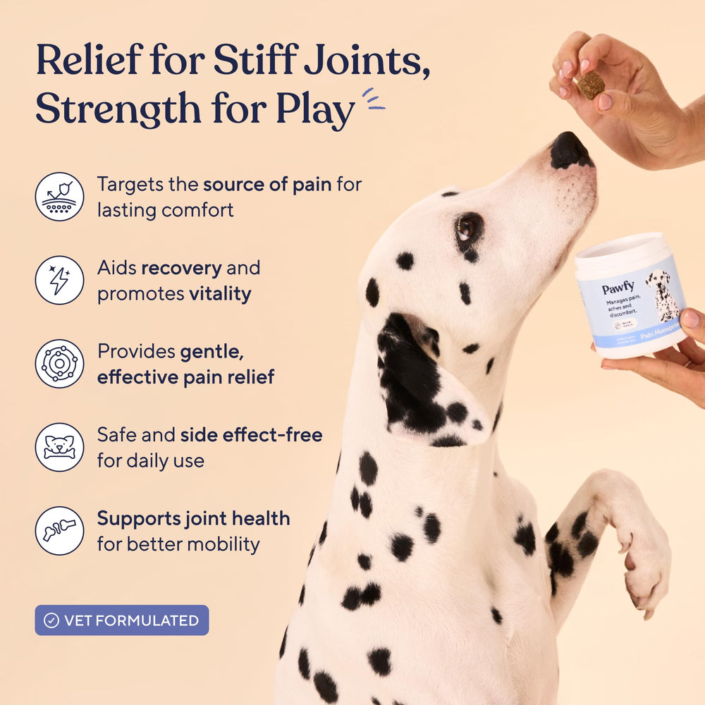 Pawfy chews close-up highlights omega-3 enriched joint support for daily activity