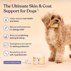 Pawfy allergy-relief-chews dog highlights seasonal skin comfort.
