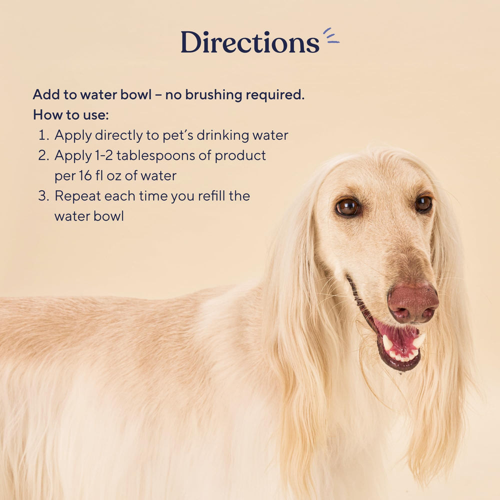 Pawfy dog dental care usage scene demonstrates effortless mixing for clean-tasting fresh water