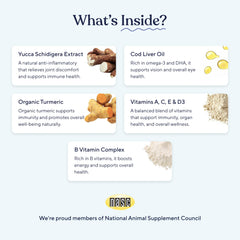 Pawfy senior joint support chews focus on mobility for aging dogs.