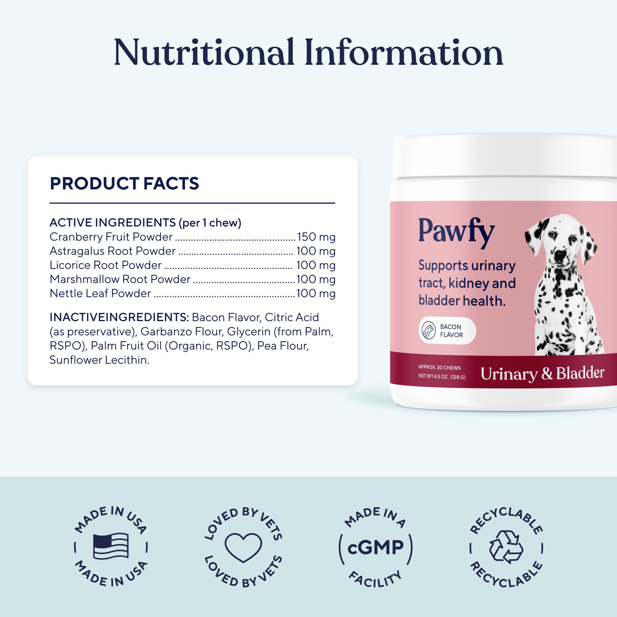 Pawfy senior dog activity image demonstrates joint-friendly wellness and comfort.
