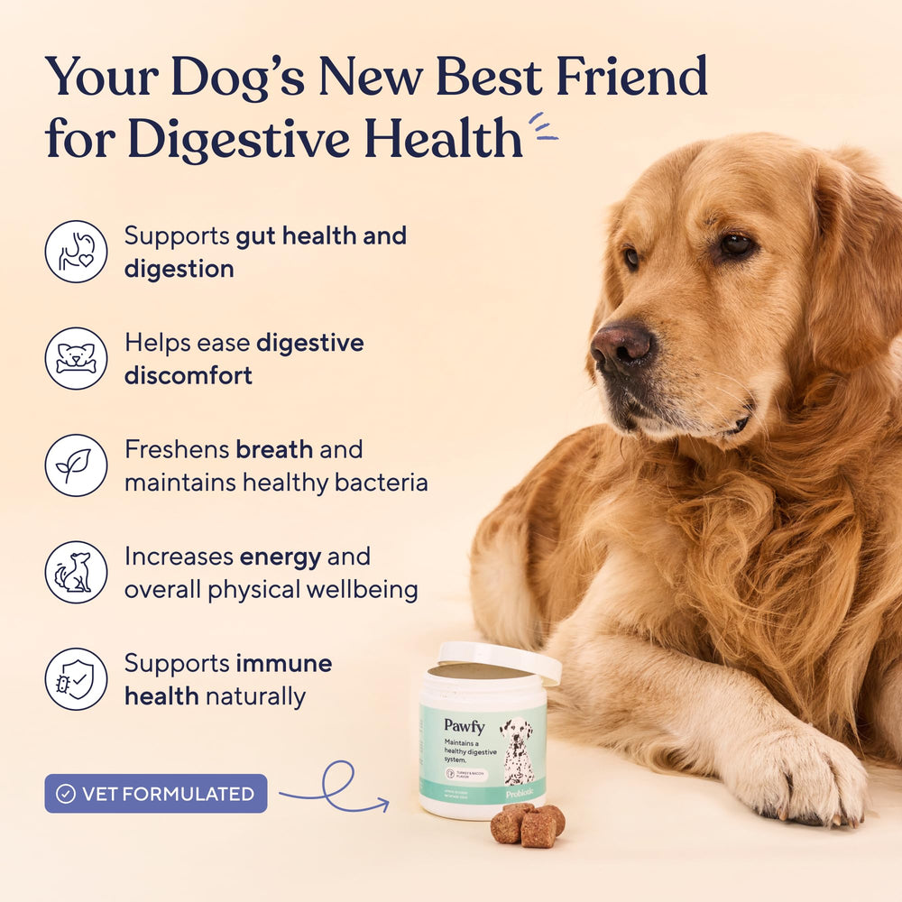 Pawfy probiotics chews closeup highlights tasty treat for dogs