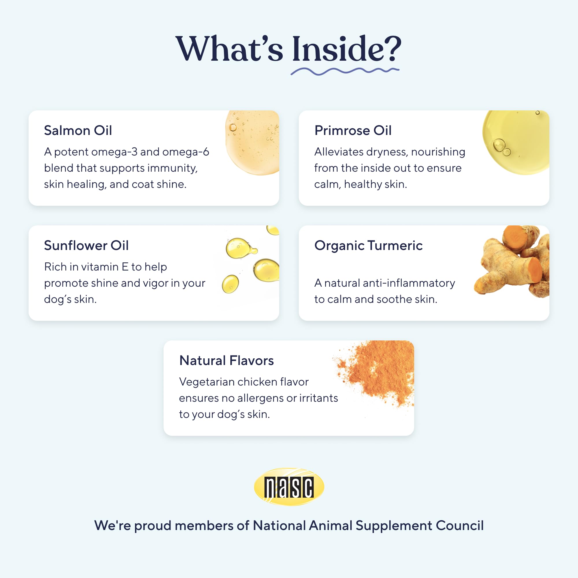 Pawfy skin coat dog chewing scene implies palatable relief for itchy skin