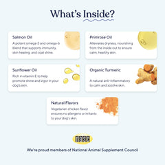 Pawfy skin coat dog chewing scene implies palatable relief for itchy skin