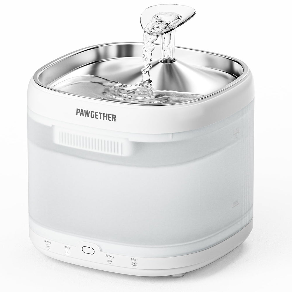PAWGETHER Cat Water Fountain setup view showing ready hydration for pets.