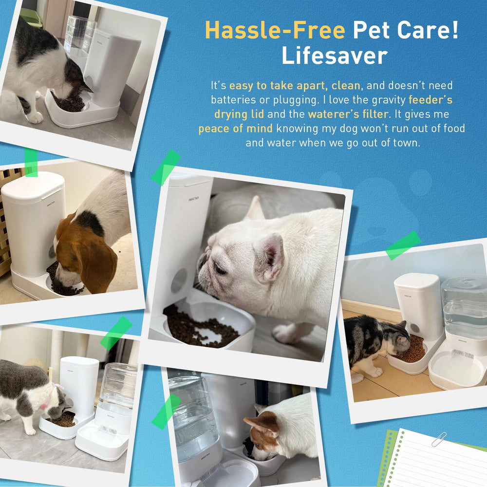PAWGETHER Gravity Feeder minimizes daily refills for a busy household.