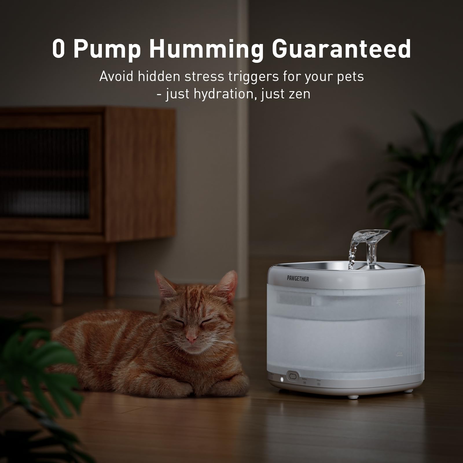 PAWGETHER stainless steel tray demonstrates durable, safe drinking surface.